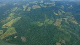 (Video) Colombia perdió 171.685 hectáreas de bosque por la deforestación en 2020