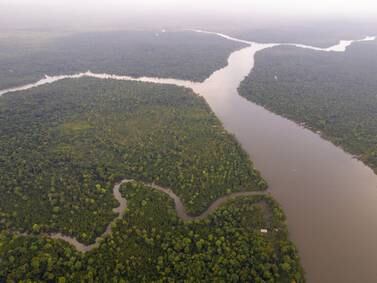 Amazonas: conozca 10 datos sorprendentes del ‘pulmón del mundo’ antes de visitarlo