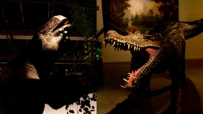 La increíble exposición de fósiles y dinosaurios llegó de Nueva York a Bogotá