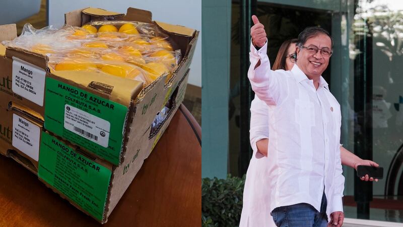 La empresa que comenzó a exportar mango de azúcar por primera vez a Estados Unidos
