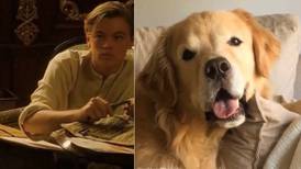 ¡Denle un Oscar! Perro es viral en redes por actuar escena de Titanic