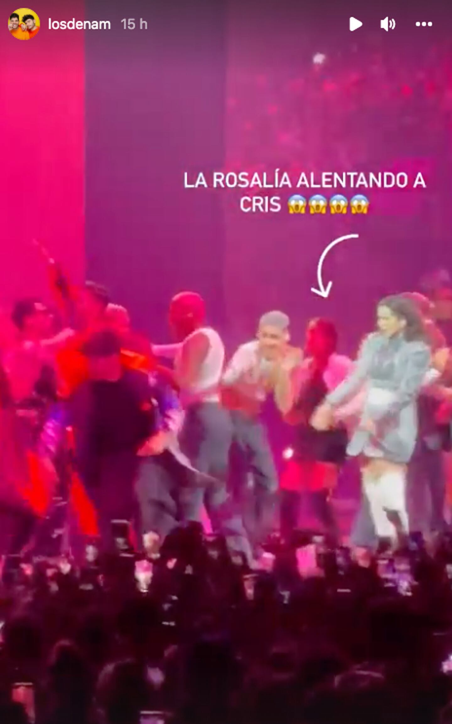 Criss balando en el concierto de rosalia. pantallazo tomado de Instagram @losñam