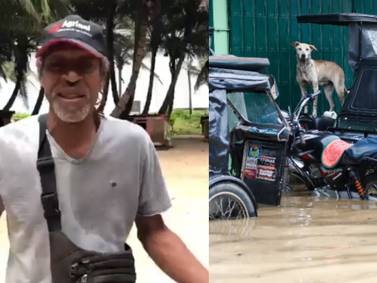 Animales en peligro en San Andrés: Lanzan SOS para pedir guacales por paso de huracán