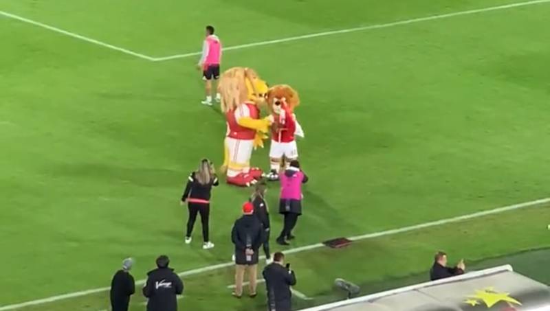“Igual de chiquito al equipo”, mascota de Santa Fe se jubiló y llegó otro león