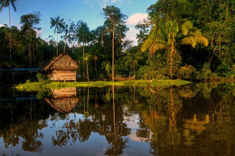 Amazonía es prioridad para el Gobierno de Petro