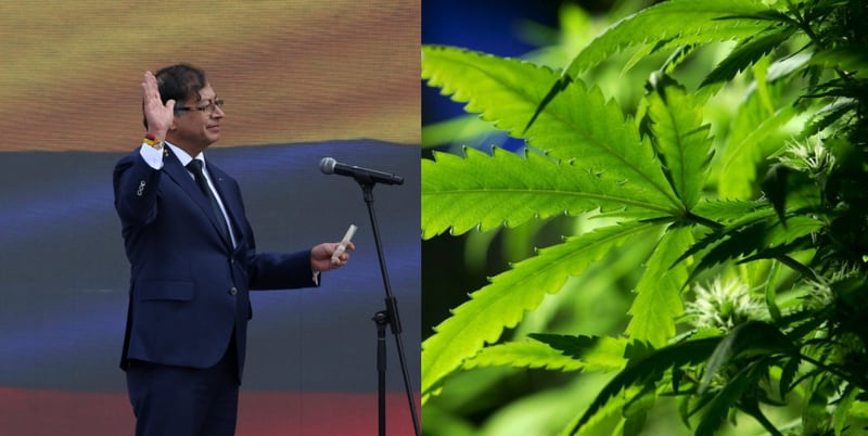 Cannabis y Gustavo Petro