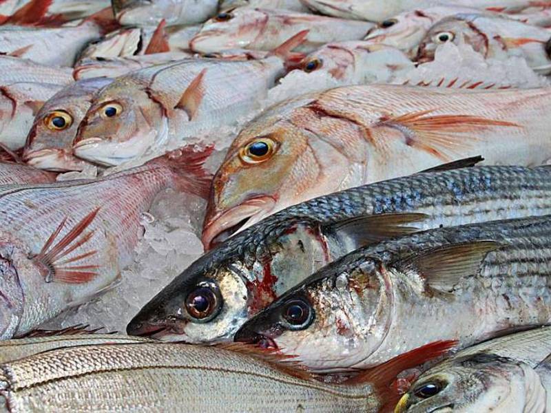 Consejos para comprar un buen pescado en Semana Santa