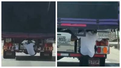 “Ni Tom Cruise se atrevió a tanto”: en video quedó grabada la hazaña de un ladrón para robarse las luces de un camión