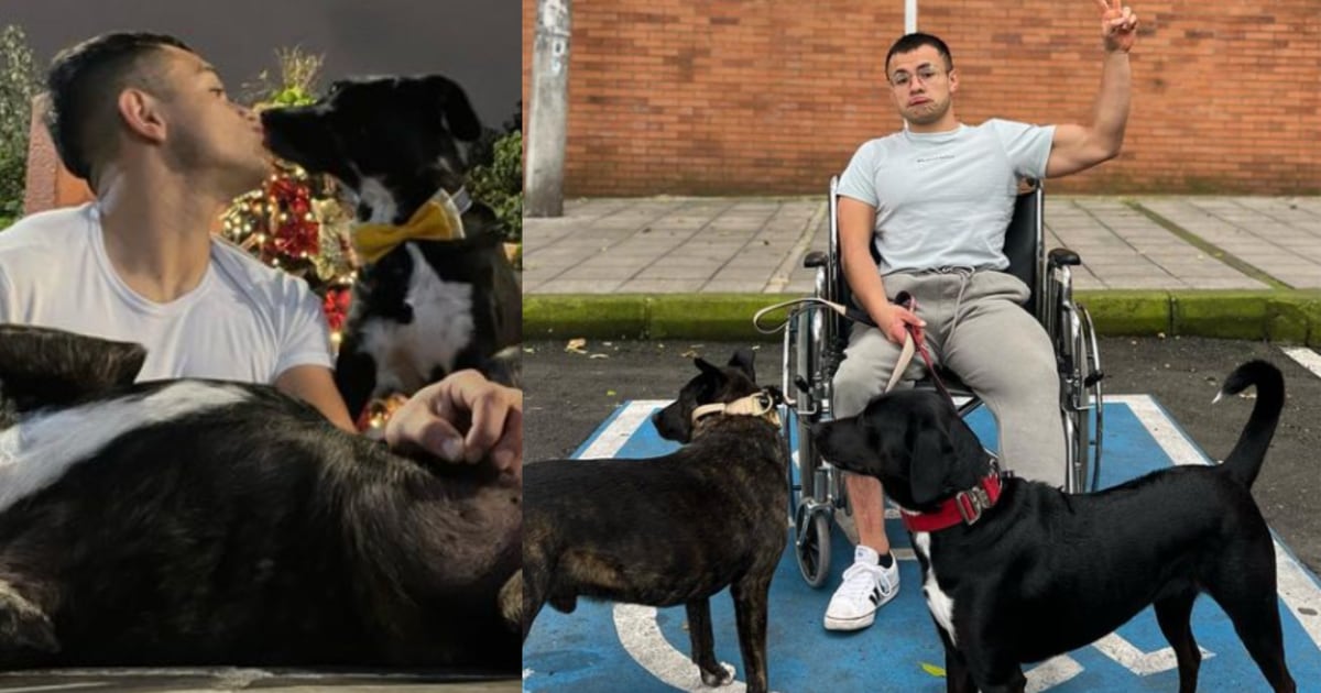 Culotauro from La Casa de los Famosos left his dogs to a blind friend;  Who is it about?