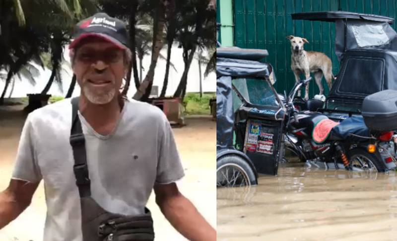 Organización animalista pide guacales para proteger a los perros del paso del huracán en San Andrés.