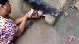 Estremecedoras imágenes: bebé recién nacida fue rescatada de una alcantarilla