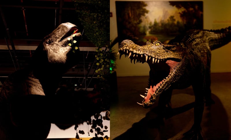 Exposición de fósiles y dinosaurios llegó de Nueva York a Bogotá