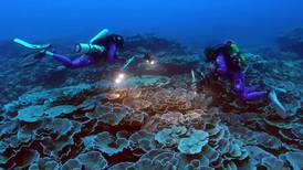 Descubren en Tahití uno de los arrecifes de coral más extensos del mundo