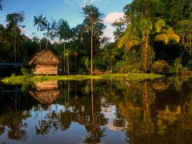 Amazonía quedó establecida como una prioridad en el Plan Nacional de Desarrollo de Petro     