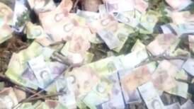 ¡Qué impotencia! Encuentran basurero repleto de billetes venezolanos