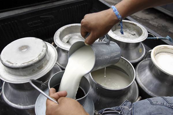 La leche en racha: Alpina, Colanta, Alquería, Pomar y Coolechera hacen importante anuncio