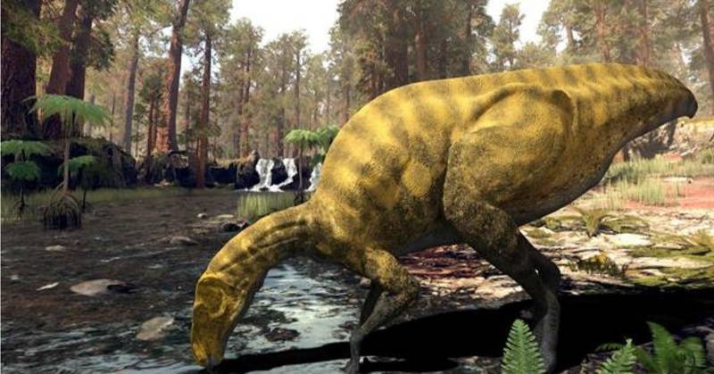 Descubren los restos de una especie desconocida de dinosaurio