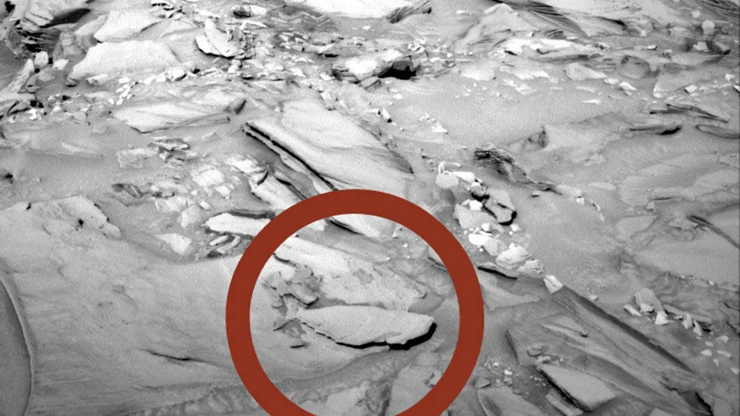 Roca con forma de pez en Marte