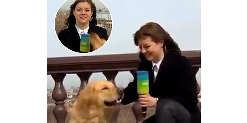 Presentadora de televisión se queda sin micrófono en vivo cuando un perro se lo quita