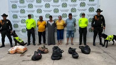 ¡Crimen ambiental! Cuatro personas capturadas con cientos de kilos de carne de tortuga