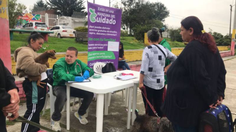 Distrito de Bogotá anuncia fechas para las jornadas de esterilización animal en la ciudad