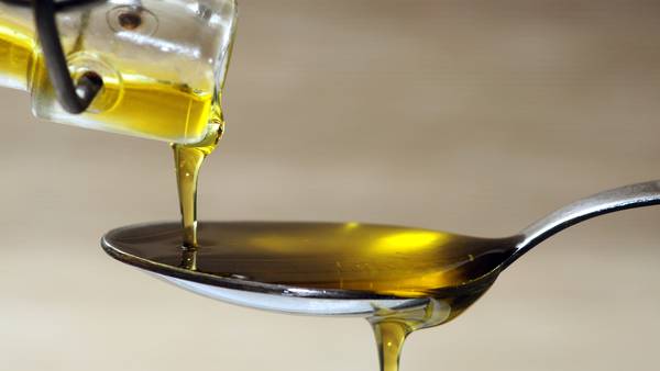 ¿Qué beneficios aporta a la salud el aceite de oliva?