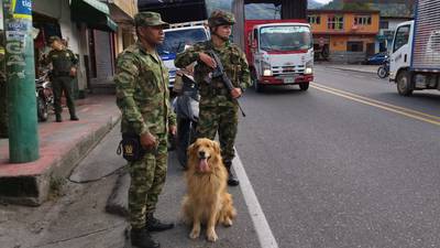 “Toca hacerle la vuelta”: perrito antinarcóticos del Ejército está amenazado y tiene guardaespaldas