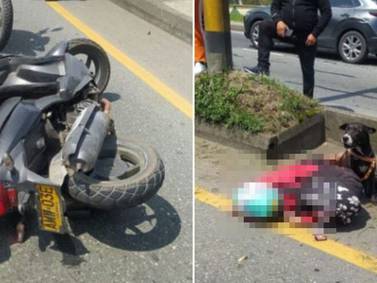 Perrito se salvó y no se despegó del cuerpo de su ama que murió al accidentarse en una moto