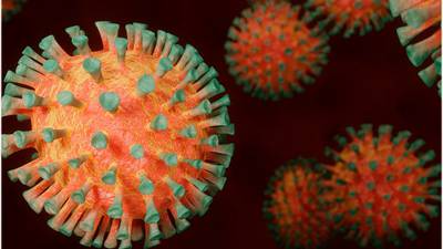 Conoce Freyja, la nueva herramienta que detecta en menos de 15 días nuevas variantes del Coronavirus