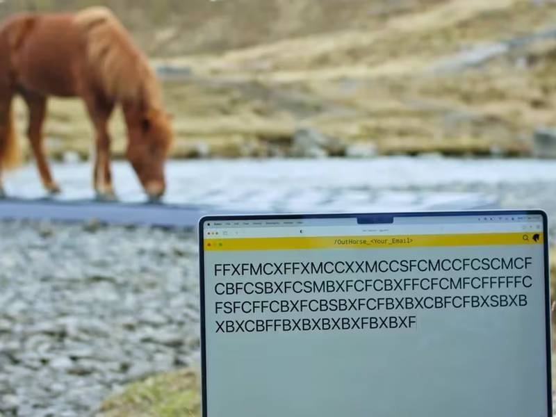 ¿Te vas de vacaciones? Puedes hacer que un caballo de Islandia responda tus correos electrónicos