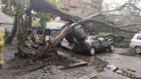 Producto de las fuertes lluvias, un enorme árbol cayó sobre seis vehículos en Bogotá