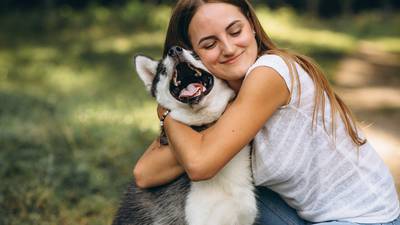 ¿Cómo hacer para que su perro huela siempre bien? Siga los consejos