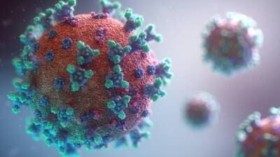 Científicos se adelantan a una próxima pandemia y empiezan a combatir la “Enfermedad X”, aún inexistente