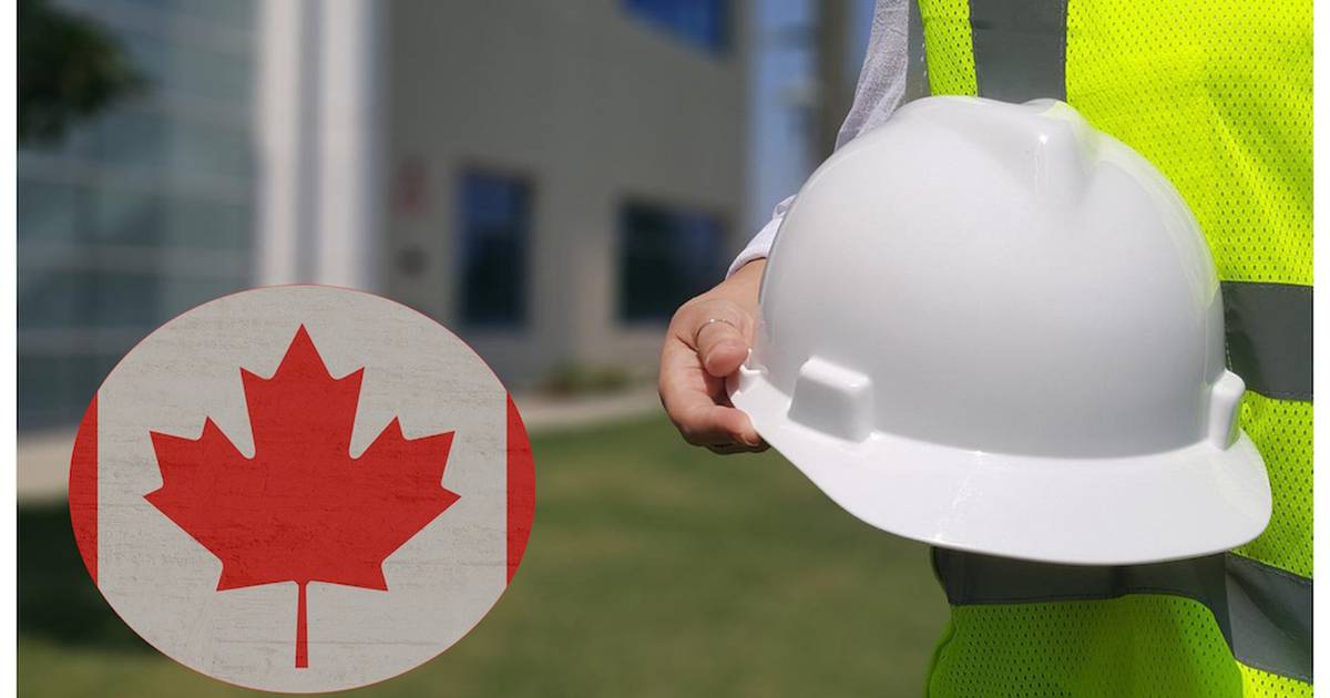 These are the sectors with the highest job supply in Canada that favor Colombians