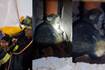 Angustioso rescate de la gata ‘Canela’ de un ducto en edificio en Bogotá