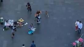 VIDEO: Perro se vuelve tendencia al ser grabado bailando en el centro de la ciudad