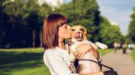 Lo que usted como amo necesita saber la guía de vacunación para su mascota