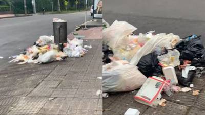 No podemos permitirnos vivir en medio de basura: Incentivan aprovechamiento de residuos en Bogotá 