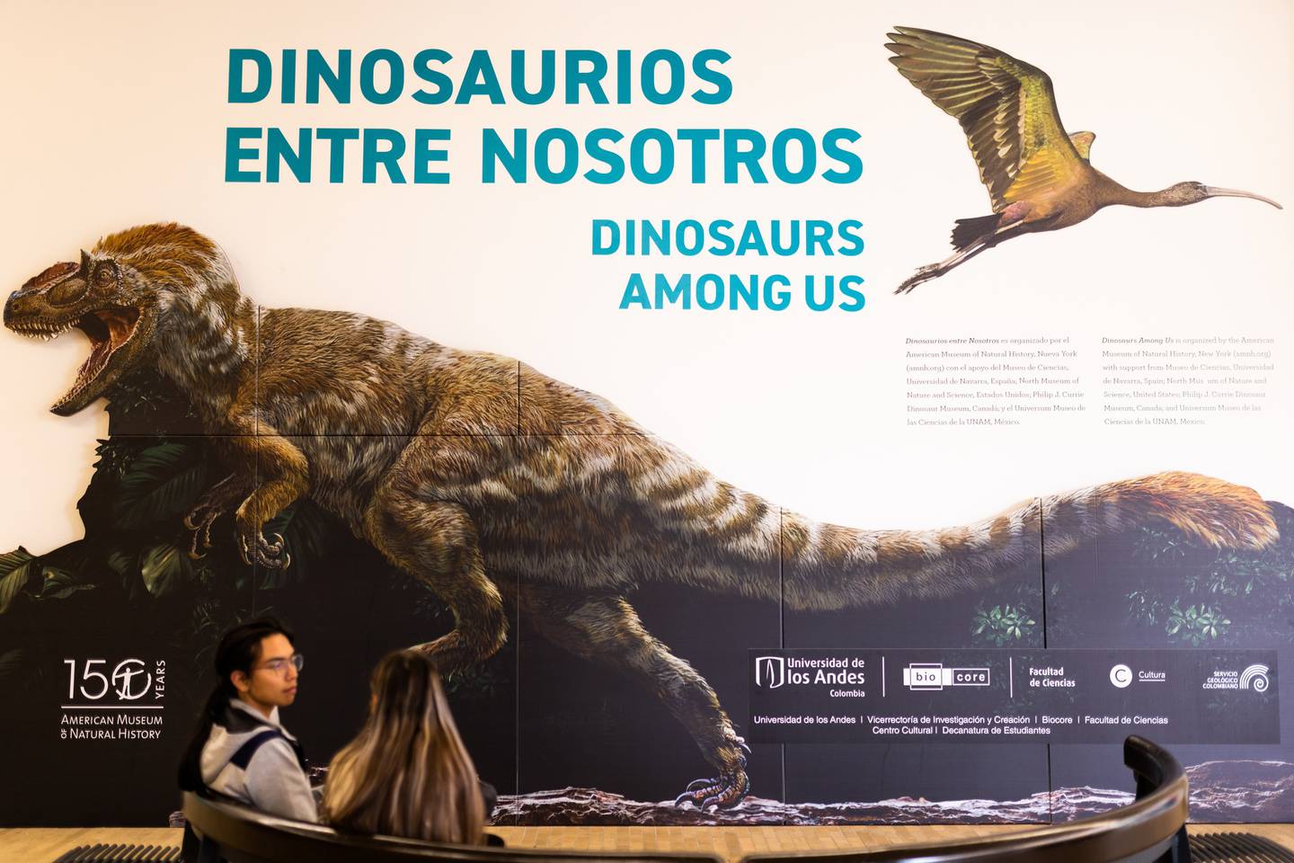 Conozca la exposición de fósiles y dinosaurios que llegó de Nueva York a Bogotá