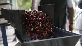 El café y los productos agroalimentarios colombianos protegidos por denominación de origen
