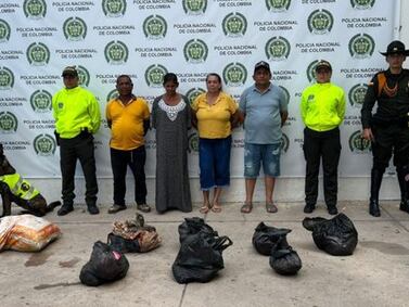 ¡Crimen ambiental! Cuatro personas capturadas con cientos de kilos de carne de tortuga