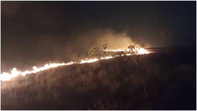 Incendio forestal en Vichada: más de 7.000 hectáreas destruidas y esfuerzos conjuntos para contenerlo