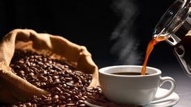 Guía de regalos curados para los amantes del café