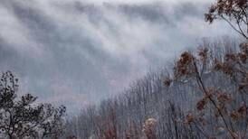 Australia se libera de incendios forestales tras varios meses de extensa lucha
