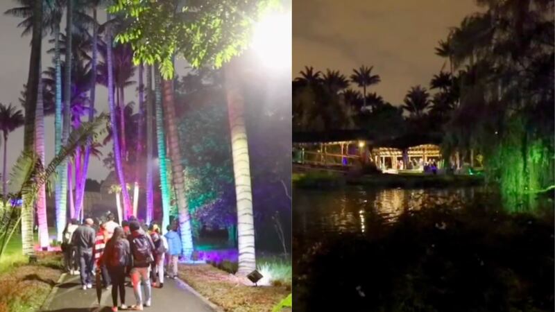 Conozca los horarios del evento gratuito Jardín de Noche, este viernes en el Jardín Botánico