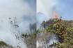 Atención: incendio forestal se presenta en la carrera 15 este con calle 74 sur en Bogotá