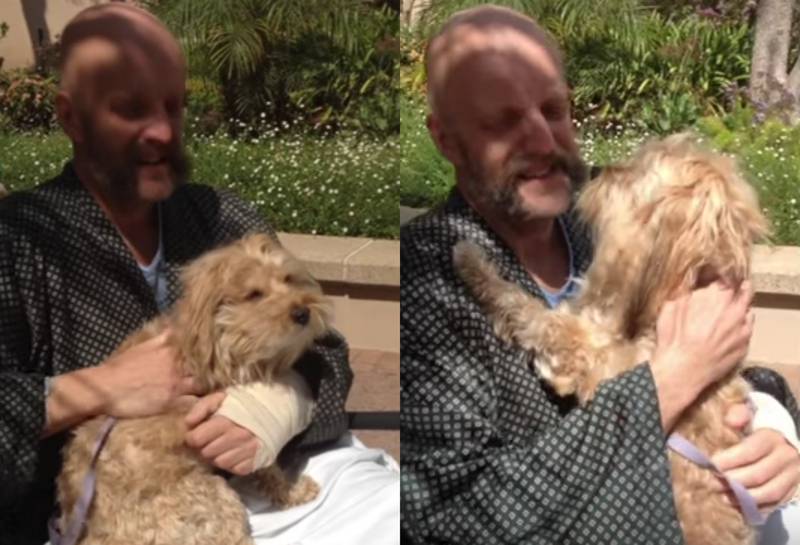 Actor de 'Harry Potter' se reencuentra con su perro