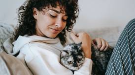 5 beneficios para la salud que da vivir con un gato
