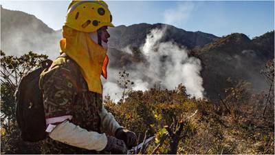 El Vichada está en llamas: incendio en el Parque Nacional El Tuparro ha arrasado con 8.000 hectáreas