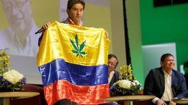 “El cannabis puede generar 3 millones de empleos en Colombia”: candidato Luis Pérez